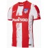 Camisola Atlético Madrid Equipamento Primeiro 2021-2022 Manga Curta